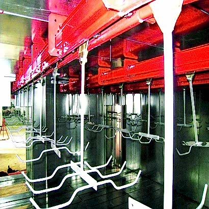 Fours de séchage avec convoyeur automatique
